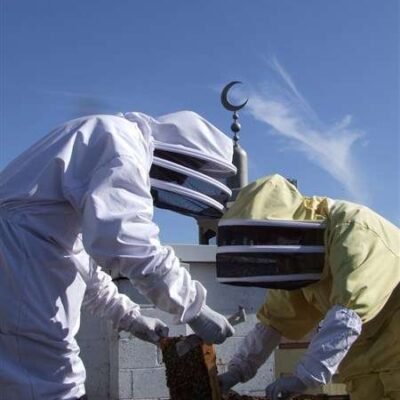 Beekeeping course