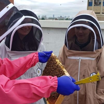 Beekeeping Experience Day at the East London Mosque - Sat 16 May 2026