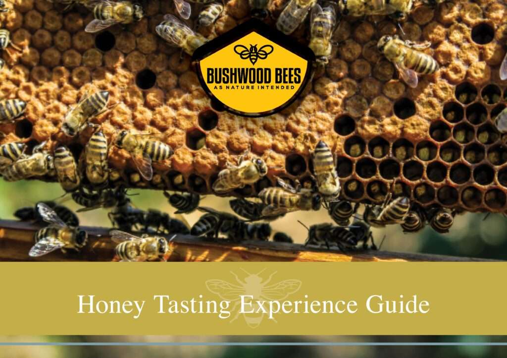 Honey Tasting Experience at Stone Mini Market - E114RD - Tue 19th July 2022
