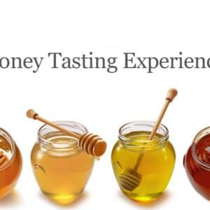 Honey Tasting Experience