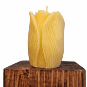 Pure Beeswax Tulip Candle
