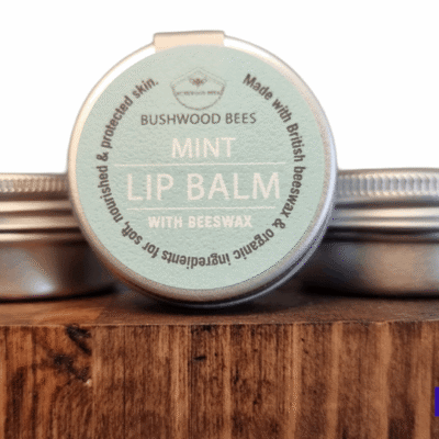 Organic Mint Lip Balm hand made by Bushwood Bees
