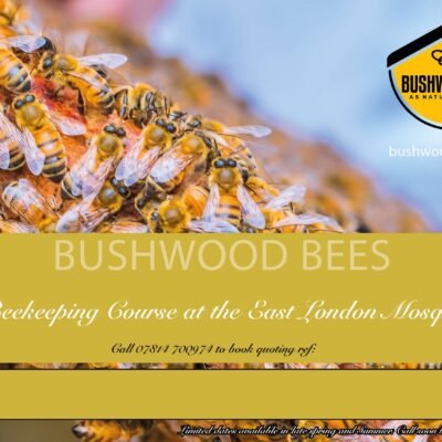 Beekeeping Course Gift Voucher