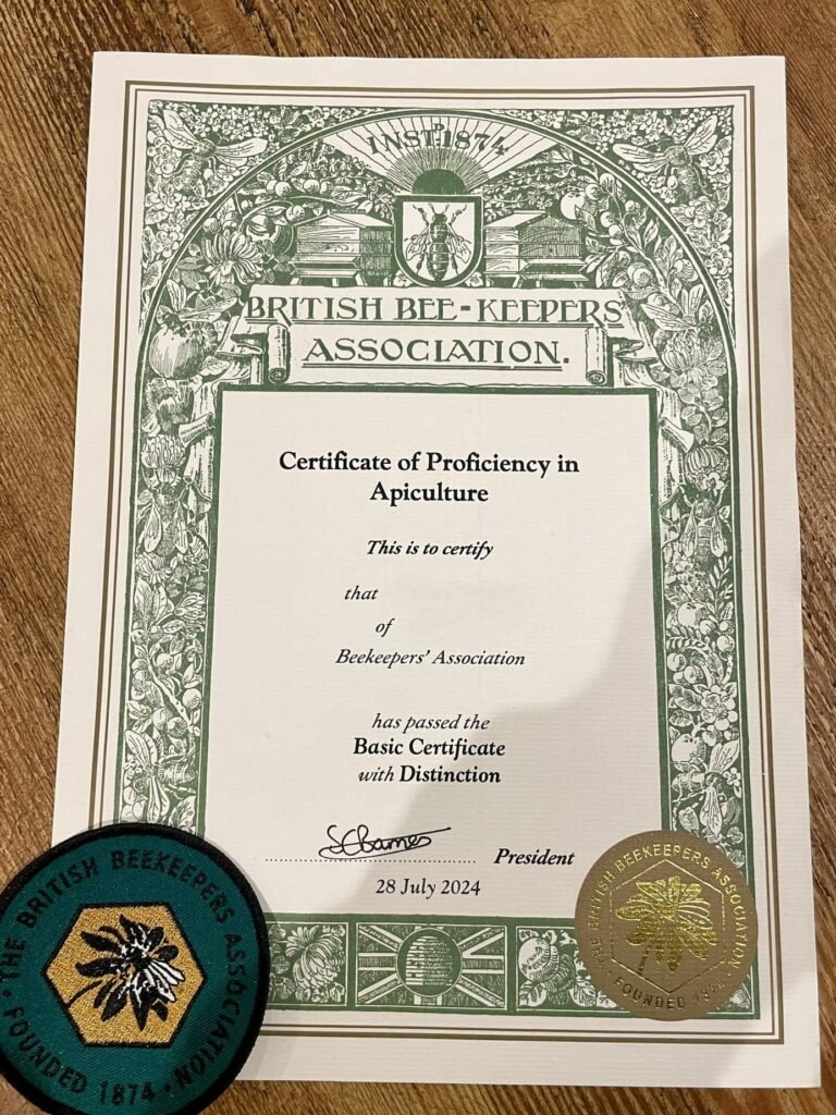 bbka basic badge and certificate